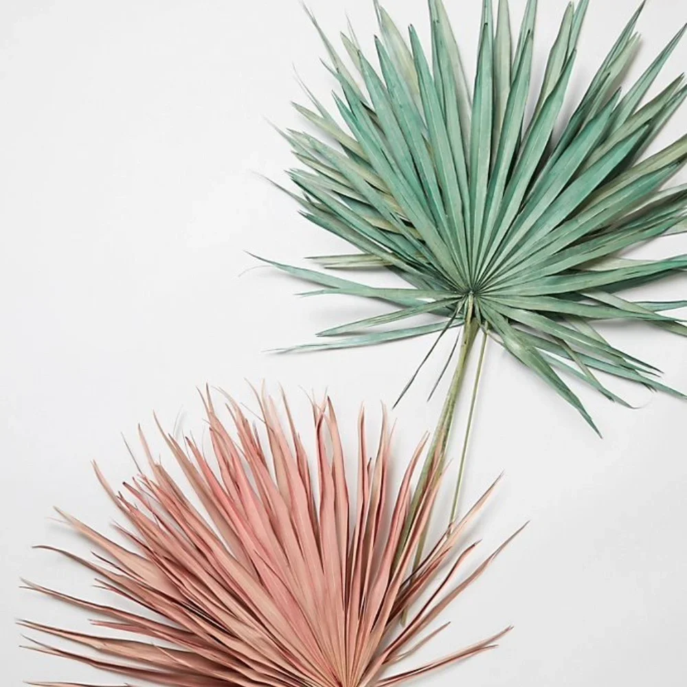 Anthropologie new this